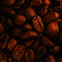 Thumbnail image representing Sa Garcia Coffee Project