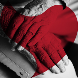 Thumbnail image representing Elderly Project